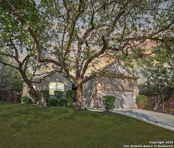 Image 47 of 47 For 131 Impala