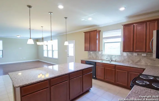 Image 9 of 20 For 223 Anchor  