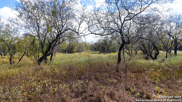 Listing photo id 33 for 195 Cheyenne