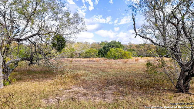 Listing photo id 34 for 195 Cheyenne