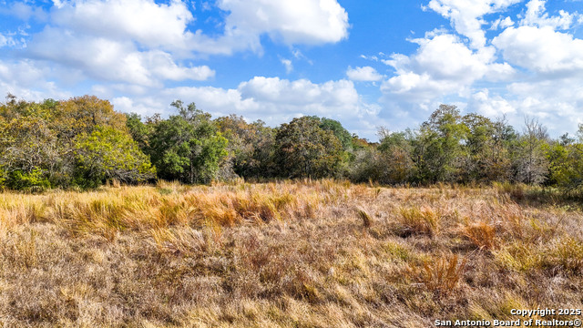 Listing photo id 35 for 195 Cheyenne