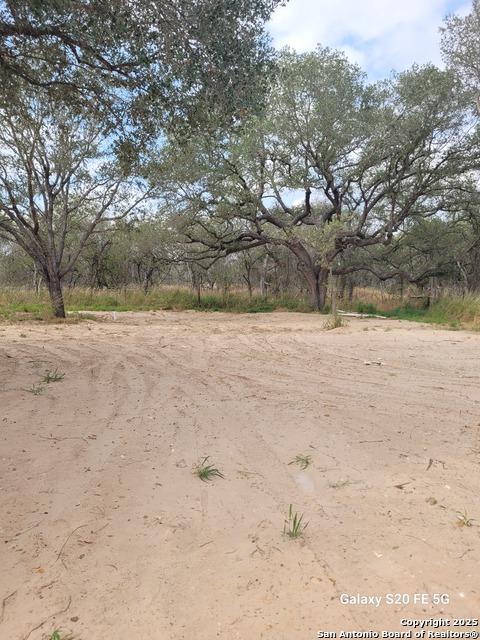 Image 13 of 13 For 374 County Road 124