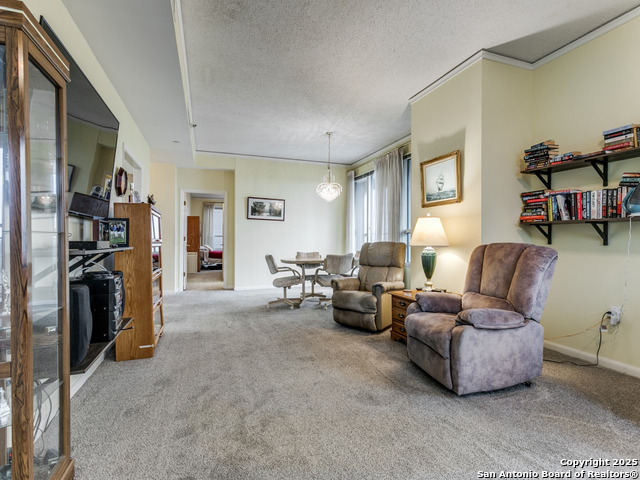 Image 8 of 29 For 1 Towers Park Ln  1511