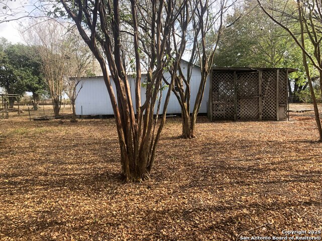 Image 11 of 17 For 8513 Pecan  