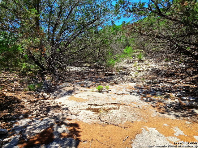 Listing photo id 7 for 2033 Sd # 45670