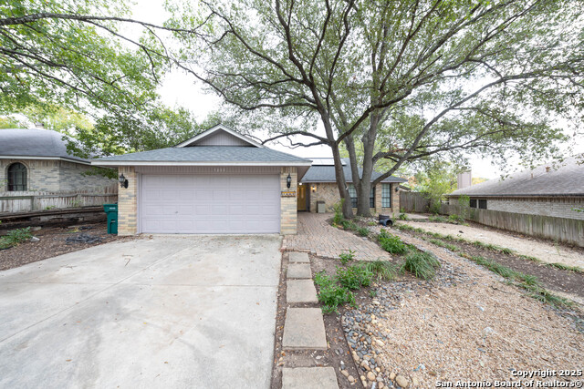 Image 18 of 19 For 7802 Forest Path