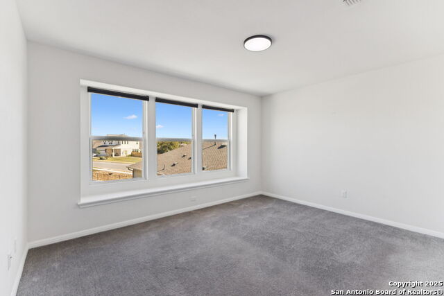 Listing photo id 18 for 2939 Brand Iron Dr