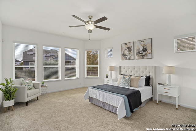 Image 13 of 32 For 8511 Ivy Curl