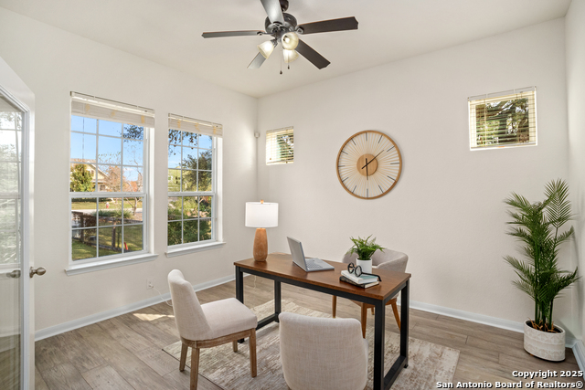 Image 16 of 32 For 8511 Ivy Curl