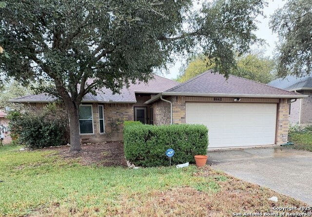 Image 2 of 19 For 8642 Quail Whisper