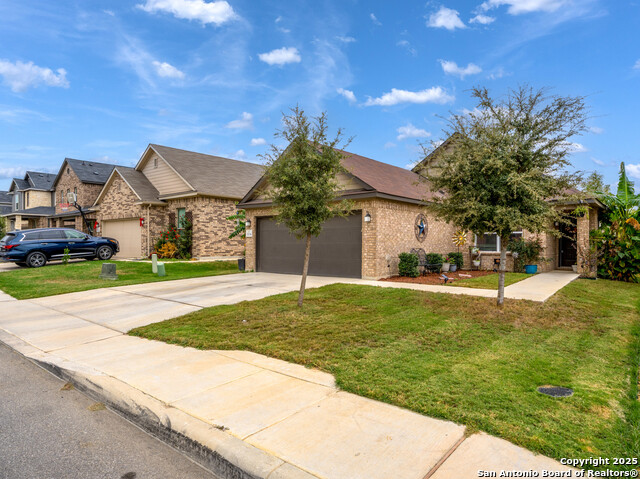 Image 2 of 24 For 11134 Charismatic