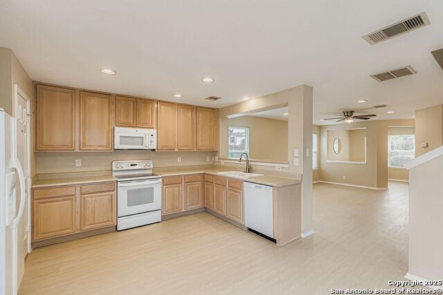 Image 6 of 20 For 203 Adelaide Oaks