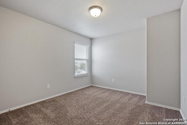 Image 15 of 21 For 11307 White Tip