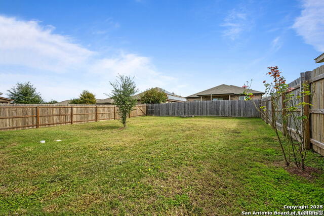 Image 19 of 21 For 11307 White Tip