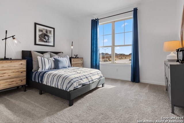 Image 22 of 28 For 12130 Vista Rim