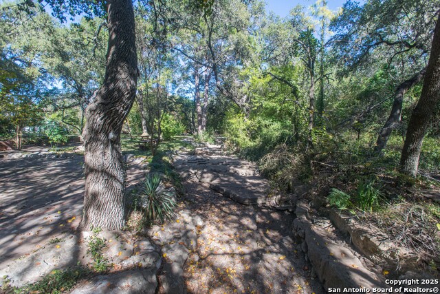 Image 60 of 60 For 11702 British Arms