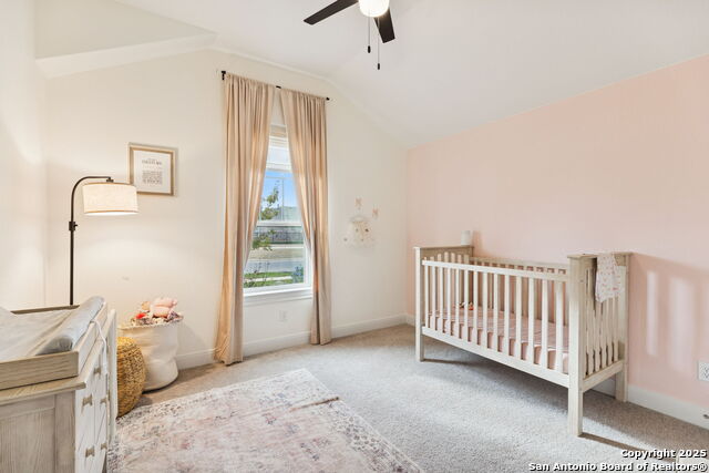 Listing photo id 19 for 390 Nightshade