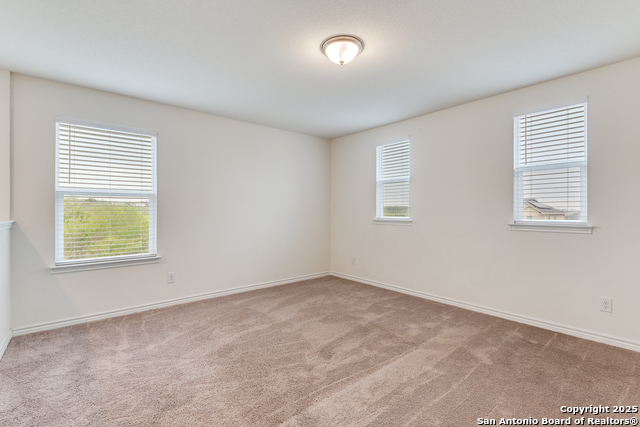 Image 16 of 24 For 11205 Plaudit