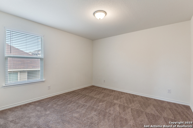 Image 18 of 24 For 11205 Plaudit