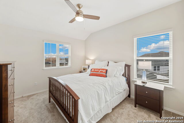 Image 21 of 41 For 4000 Wild Bloom