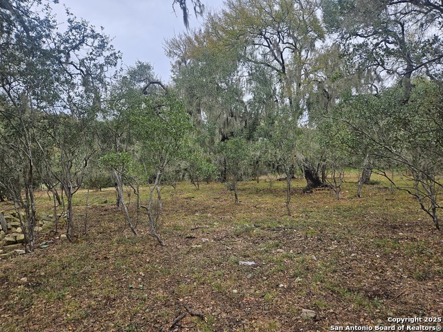 Details for 481 River Chase Way, New Braunfels, TX 78132