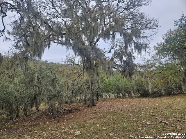 Image 3 of 30 For 481 River Chase Way