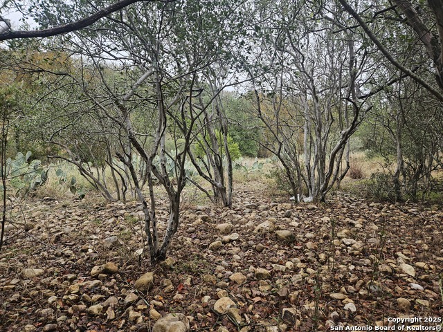 Image 4 of 30 For 481 River Chase Way