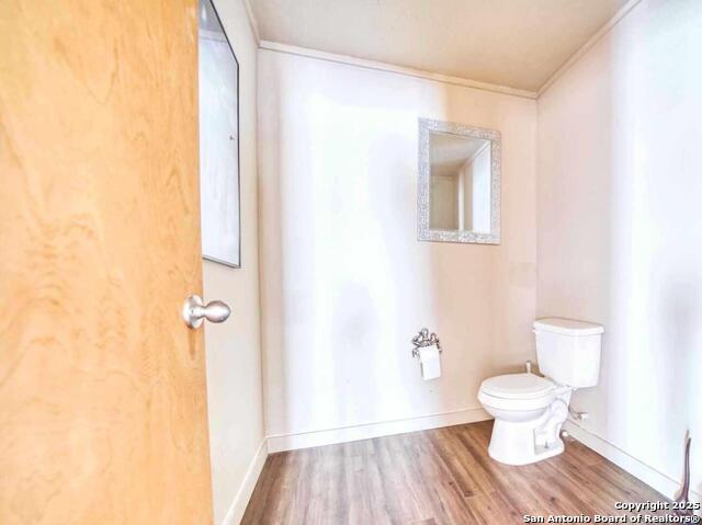 Listing photo id 5 for 0 County Road 243