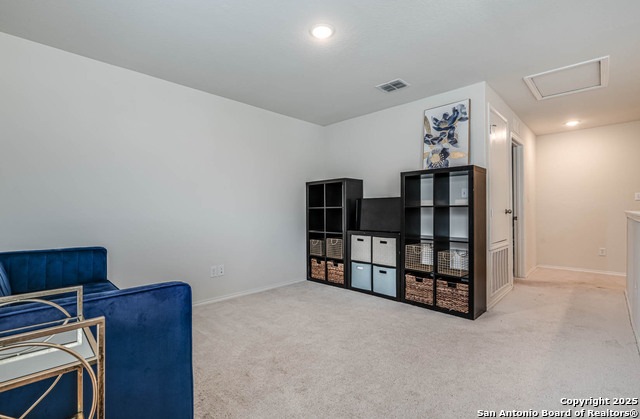 Image 5 of 10 For 519 Wild Olive