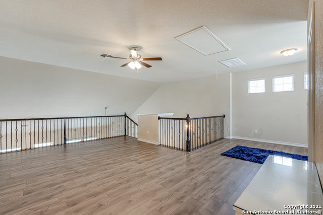 Image 25 of 37 For 1438 Rock Dove