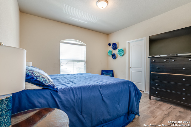 Image 28 of 37 For 1438 Rock Dove