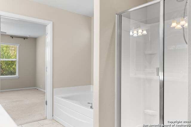 Listing photo id 17 for 10723 Rimfire Run