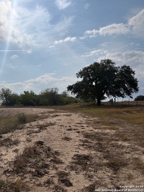 Image 15 of 47 For 4689 County Road 302