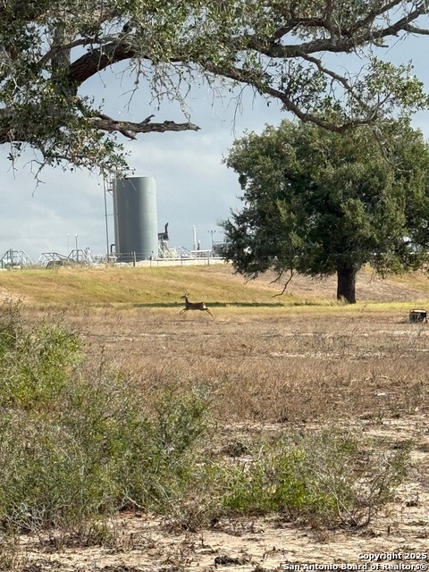 Image 17 of 47 For 4689 County Road 302