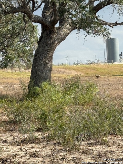 Image 18 of 47 For 4689 County Road 302