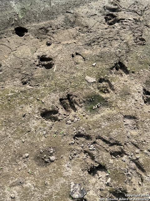 Image 20 of 47 For 4689 County Road 302