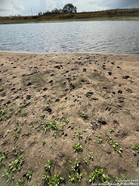 Image 24 of 47 For 4689 County Road 302