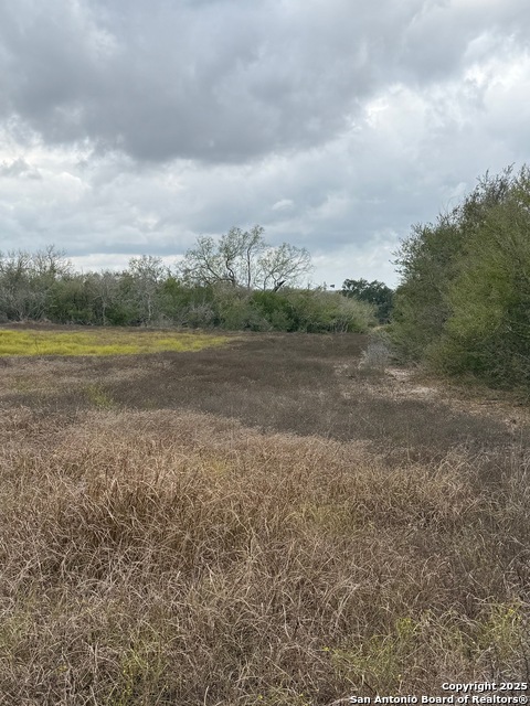 Image 3 of 47 For 4689 County Road 302