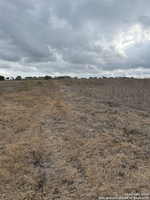 Image 6 of 47 For 4689 County Road 302