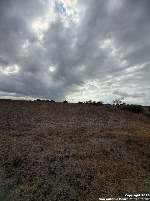 Image 7 of 47 For 4689 County Road 302