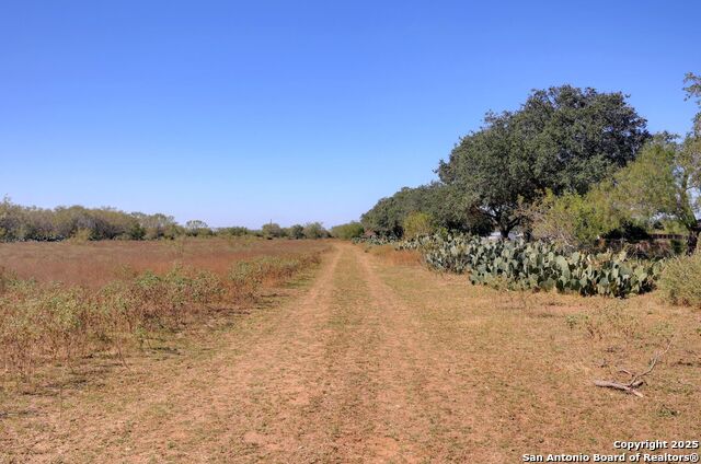 Image 14 of 31 For 416 County Rd 125