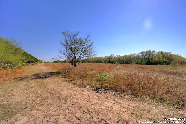 Image 16 of 31 For 416 County Rd 125