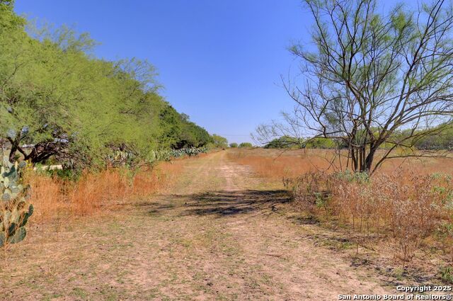 Image 17 of 31 For 416 County Rd 125