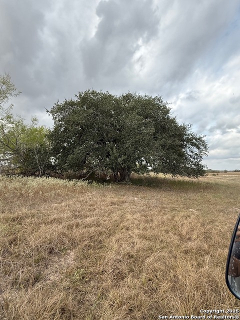 Listing photo id 8 for 00 County Road 302