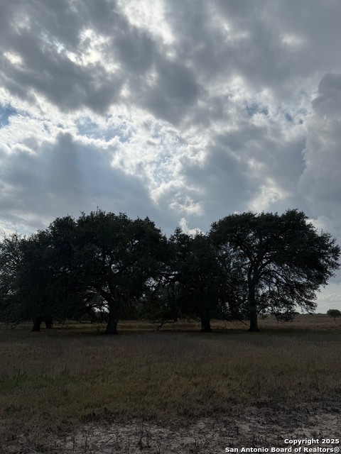 Listing photo id 0 for 00 County Road 302