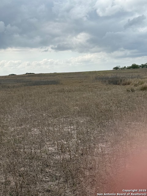 Listing photo id 5 for 00 County Road 302