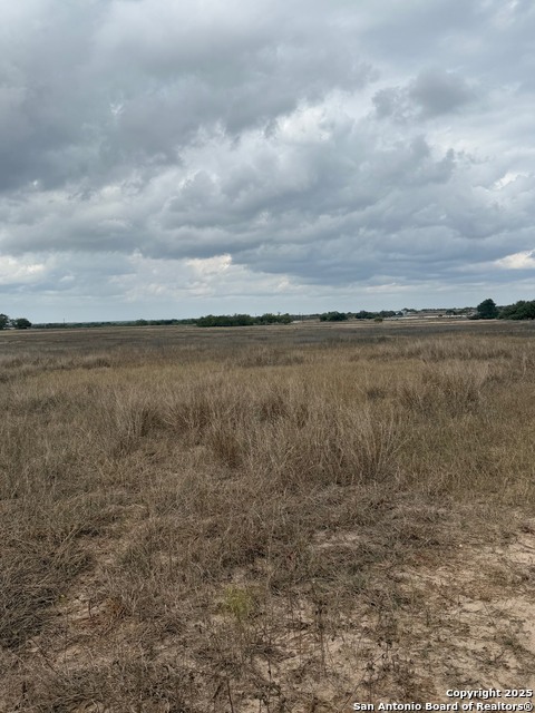 Listing photo id 6 for 00 County Road 302