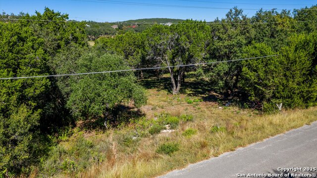 Listing photo id 2 for 251 Watts  