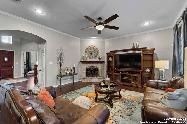 Image 11 of 24 For 30605 Holstein