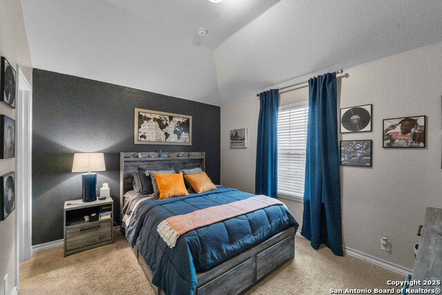 Image 15 of 24 For 30605 Holstein